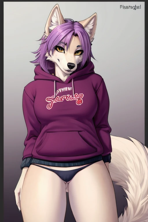 Wolf wearing sweatshirt and panties 