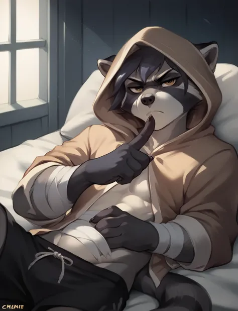 A black and white raccoon, Hairstyle (Pompadour) with open hood cloak, bandages on hands and shorts, Serious, lying on a bed, finger pointing at the stomach, night low lighting.