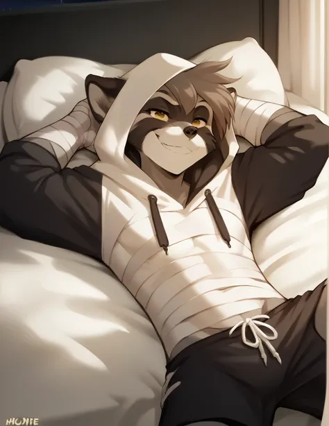 A black and white raccoon, Hairstyle (Pompadour) with half-open hooded cloak, bandages on hands and shorts, proud smile, lying on a bed,, in hands behind the head, night low lighting.