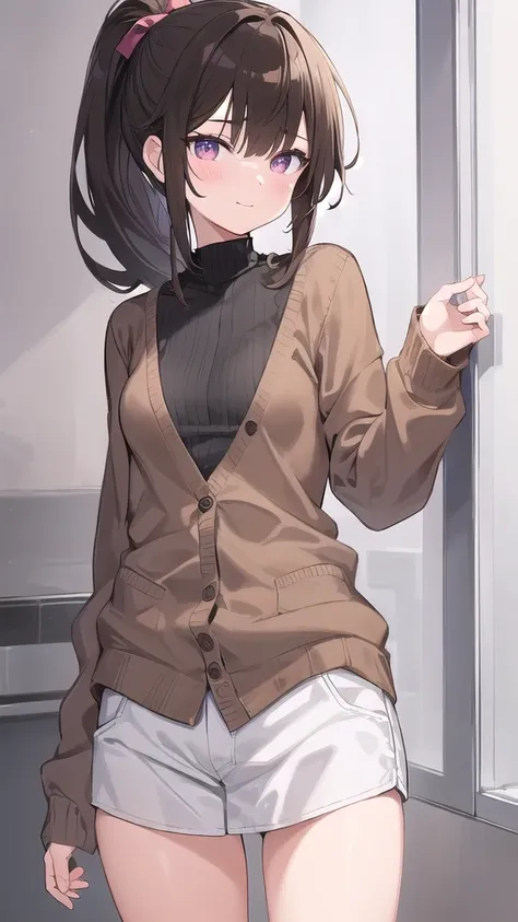 Anatomically correct, One Girl, Small breasts,  ｛Shortcuts:1.7｝, Short Ponytail, Brown Hair, Character Portrait,cardigan,, smug face, 