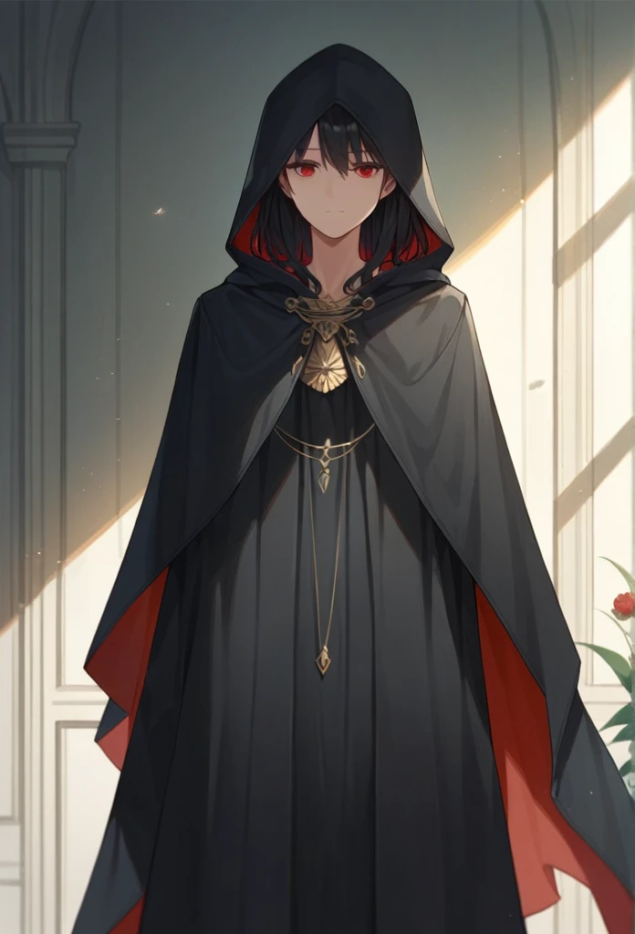 , 1girl, solo, black hair, red eyes, long cape sleeves, sleeves covered hands, no hands, dress, long cape, cape, black cloak, hood up, black robe, covered mouth, hooded cloak, masterpiece, best quality, rooms, standing