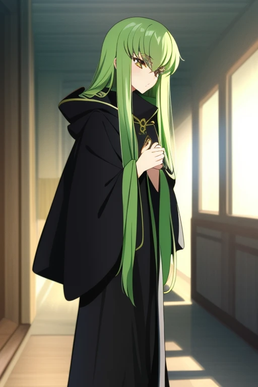 cc_codegeass, hair between eyes, green hair, very long hair,  long cape sleeves, sleeves covered hands, no hands, dress, long ca...