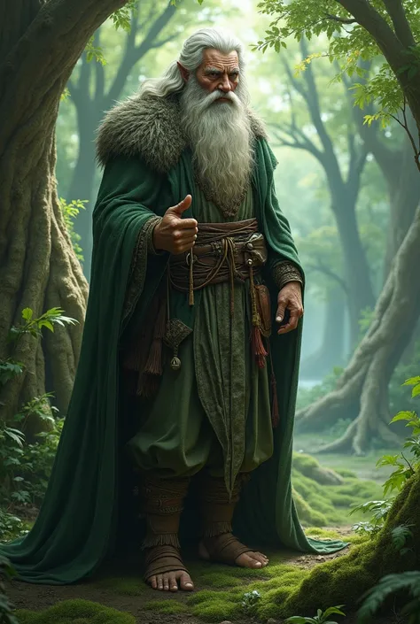 strong druid lord, bearded and gray-haired with a scar on his left eye and blind in his left eye