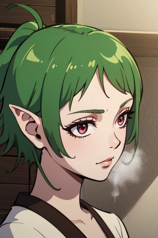 ((best quality)), ((masterpiece)), (detailed), perfect face. Asian girl. Green hair. Short hair. Elf. Maroon eyes.