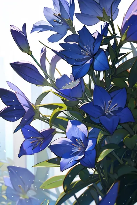 Gentian