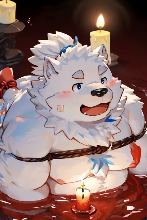 gained weight、being overweight、dog beast man、fur、fluffy、cute、、white liquid（（naked）））（（tied up with rope）(low temperature candle、...