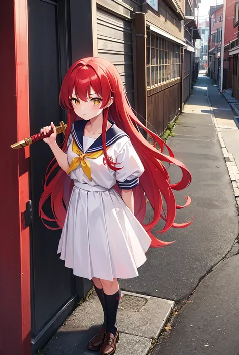 High school girl、Yankee、Long Hair、Red Hair、Red Hair、Yellow Eyes、Sailor suit、Long Skirt、Delinquent girl、Schoolyard、City alley、Wooden sword、Wooden sword