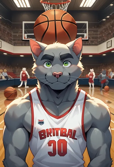 thick cat, (((cat, peterbald))), feline, furry, ((gray skin)), (big eyes, green eyes), (((focus on face))), male, very long snout, wide snout, burgundy nose, (thick eyebrows), ((muscle, hypertrophy)), correct anatomy, ((indoors, basketball court, basketbal...