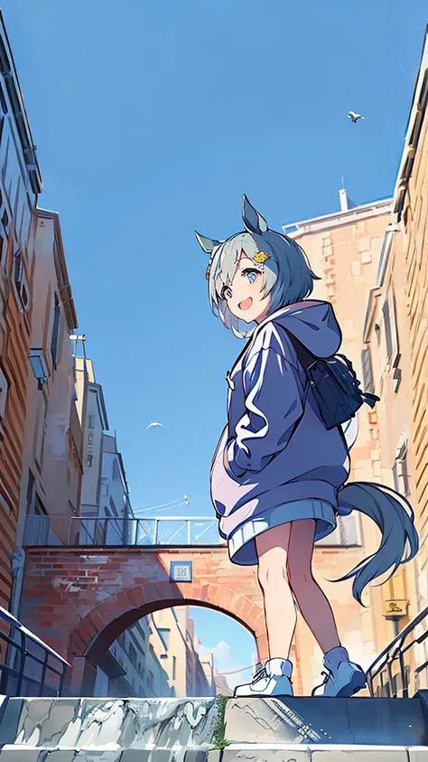 masterpiece, Best Quality, High resolution, Very detailed,(((Seiun Sky))), (((Horse Girl))), (((hoodie))), (((Standing at a distance))), (((Facing forward。))), (((Under the bridge))), (((Against the backdrop of blue sky))), (((Laughing。)))