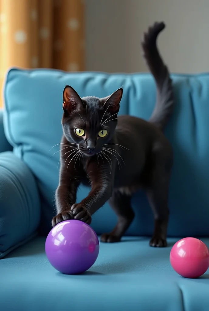 a black cat playing with a purple ball on the blue sofa, high detail