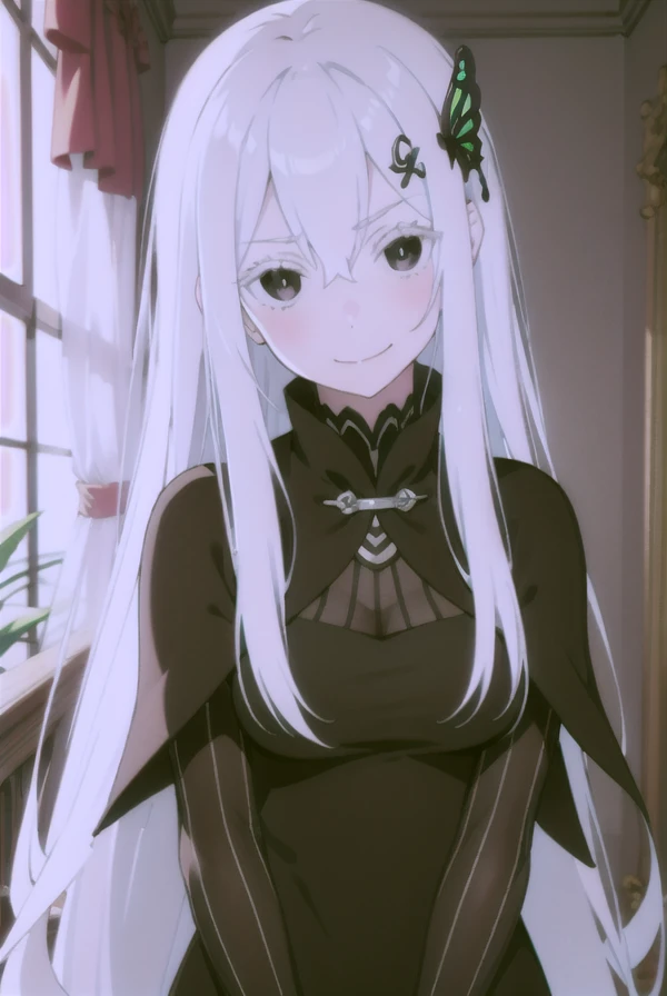 ((echidna)),big eyelashes, (gray hair), long hair, straight hair, (black eyes:1.5),(black dress),butterfly hair accessories,long...