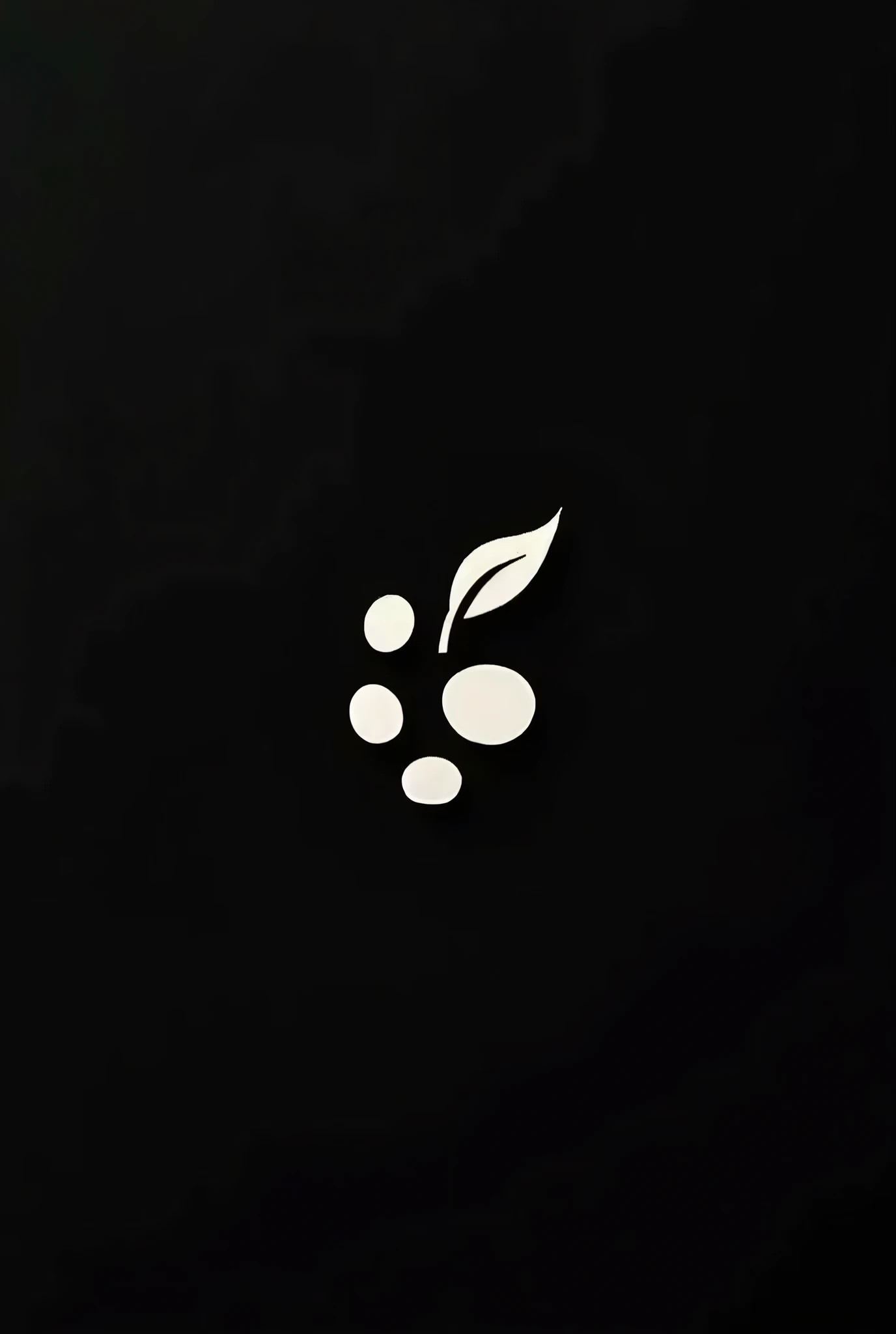 Small icon for IG highlights where there is a cat footprint with a white plant leaf on a black background 