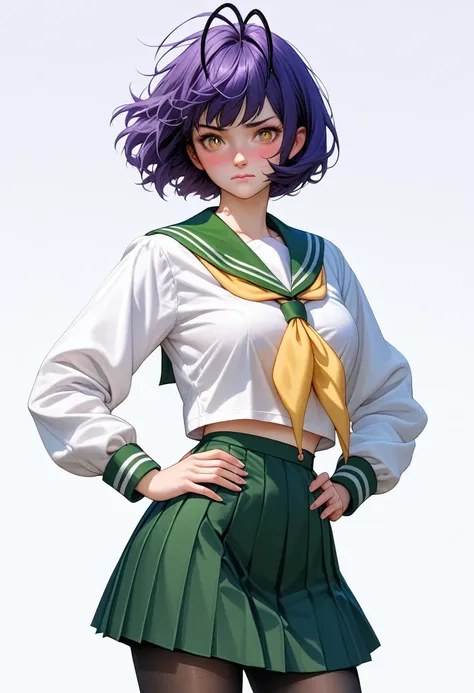 best quality, amazing quality, very aesthetic, absurdres, 1girl, hiiragiutena, dark purple hair, antenna hair, bangs, short hair, yellow eyes, closed mouth, white shirt, green sailor collar, green pleated long skirt, loafers, long sleeves, black pantyhose,...