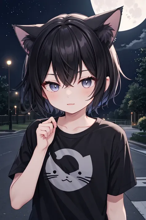 ,boy, black hair,eyes black,T-shirt, park,,Portrait,Asian people,cat ears,night,moon,short hair,pointed ears,shota