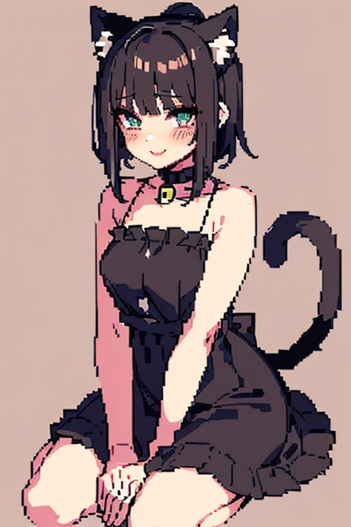 (pixel art:1.3), 16-bit sprite, (masterpiece:1.2, best quality), (finely detailed beautiful eyes: 1.2), 1girl, cat ears, cat tai...