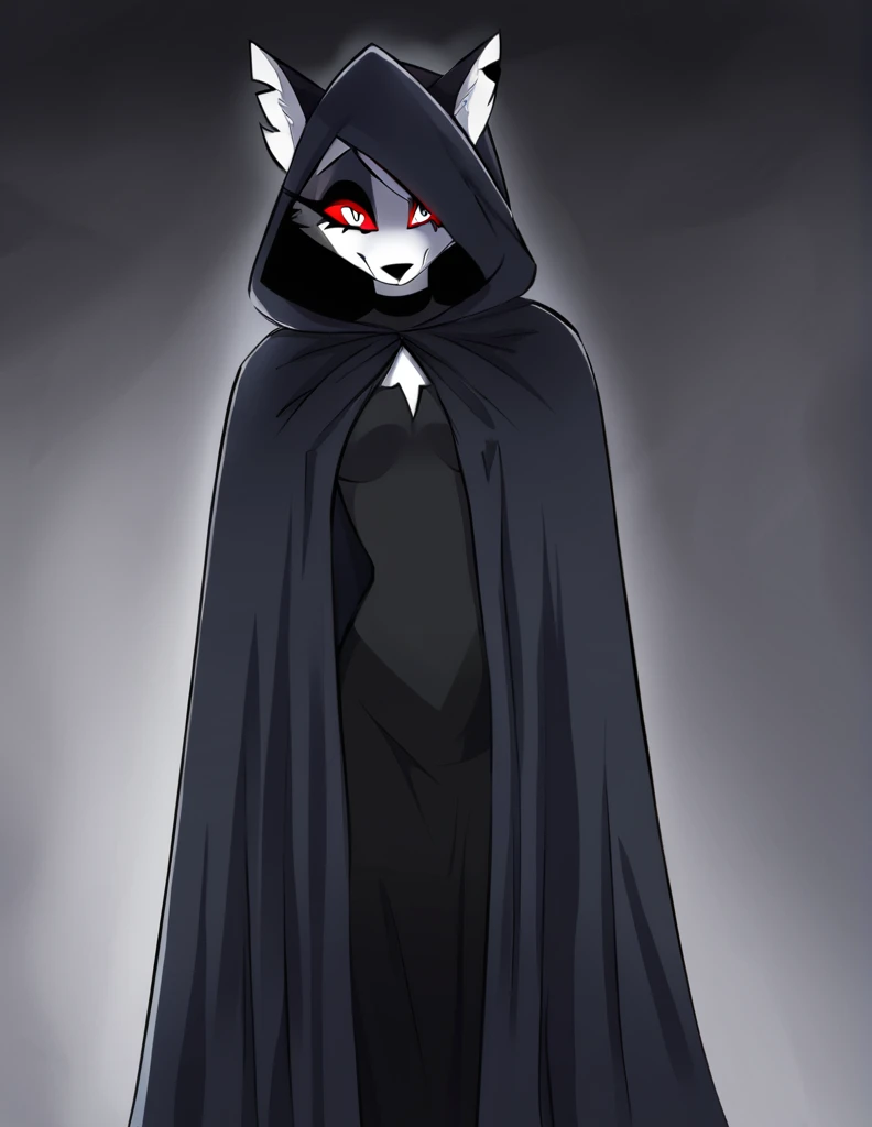 (1girl, solo), perfect body, slim,
anthro, robe, furry, smile, sinister look, grim reaper outfits, cape covering whole body, long black cape, hoods covered head, head down, red eyes,room, standing
Loona (Helluva Boss), 