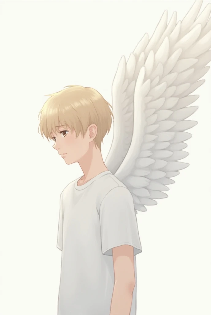 boy, 20 years old, angel, white shirt, angel wings, white, feathers, anime, Side view