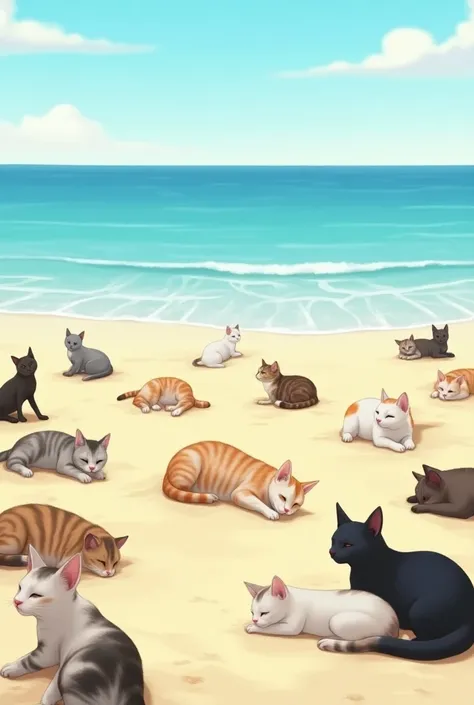 Many stray cats are lounging on the beach