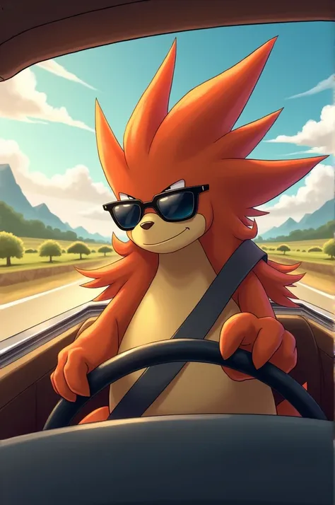 Typhlosion, Sunglasses, driving a car 