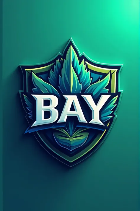 Make a sports logo with the acronym BAY, Very beautiful and with 4k quality 