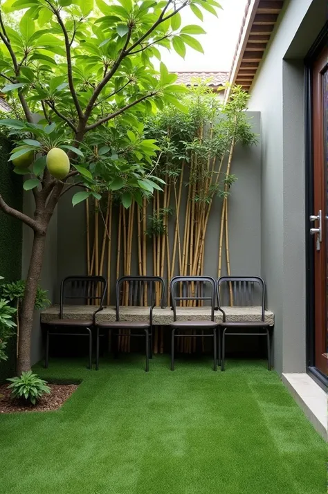 In a small space, a small garden with grass, with a guava tree and a mango tree, with bamboo on the back wall and a stone bench attached to the wall, with a bench of four metal chairs 