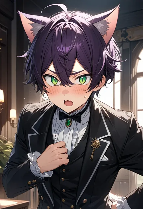 anime style boy, green eyes, cat eyes, short hair, dark purple hair, cat ears, funny expression, beautiful, ultra detailed, ultra quality, butler style.