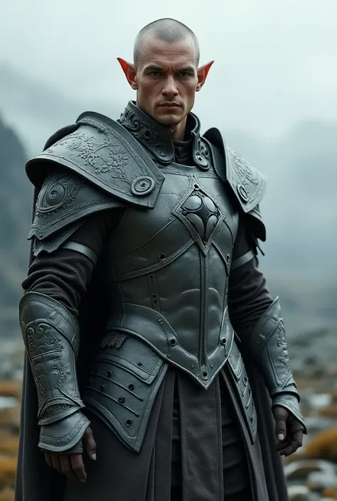 Male elf in gray helmet armor 