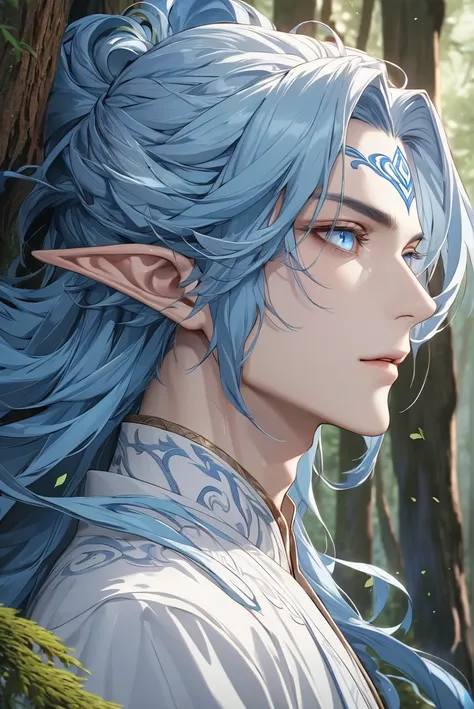 masterpiece,  top quality 动漫插图,  is very detailed , extreme details, 16k, 2.5d, delicate and dynamic, 1 male, elf，blue long hair...