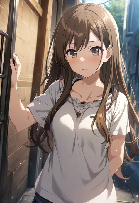 1 girl, teenage, brown hair, long hair, brown-gray eyes, CG