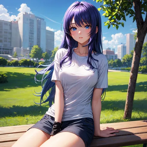 ((best quality)), ((masterpiece)), (detail), perfect face. has hair with two colors of blue and purple. her hair down, Anime girl. Blue eyes. 1 girl. wearing a gray t-shirt, sitting on a bench in the park, half body, upper body, cloudy weather in the park,...