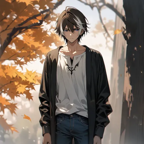  masterpiece ,  The best quality ,  brown hair white hair ,  bicolor hair color ,  multilayer color ,  round neck shirt showing a little of the collarbone, black jacket,  straight and long denim pants ,  27 year old male , Height 178cm ,  mix of lelouch la...