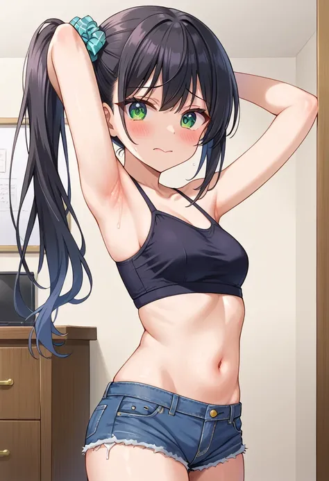 (masterpiece),(best quality), (ultra-detailed), (illustration), (an extremely delicate and beautiful), nsfw BREAK (show off armpit:1.4),(one arm down:1.1) BREAK 1 high school girl,solo,(side ponytail:1.1),black hair,emerald green eyes,slant eyes,(middle br...