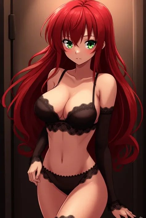 Rias Gremori anime High School DxD with great attributes hentai hot lingerie 



