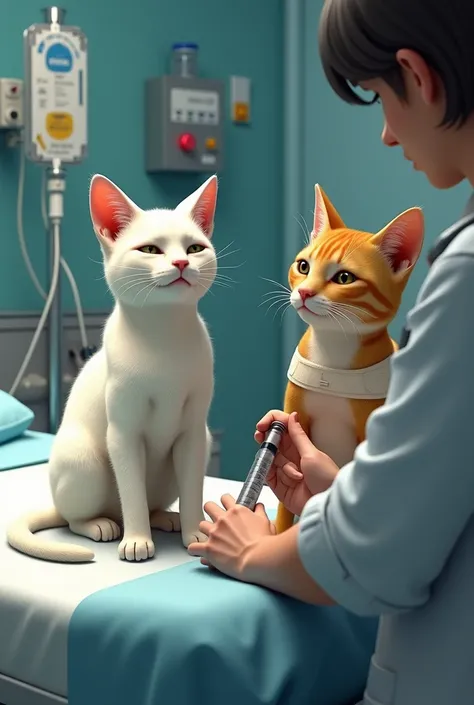 A cat that is white and wearing a red shirt and another cat that is yellow and wearing a white shirt Both are injured The white cat is on a hospital bed with a drip in his hand And both eyes are closed and the yellow cat has a link and the doctor fills the...