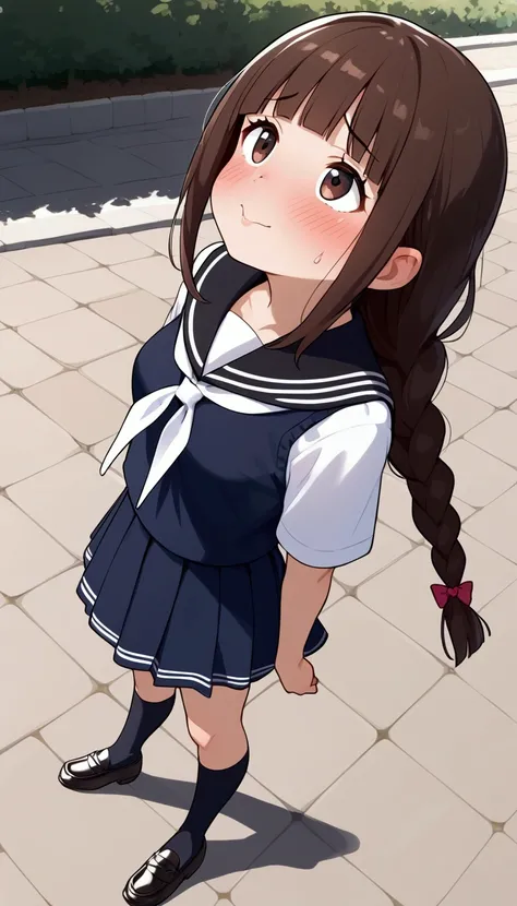 {Best Quality], [Very beautiful], [Ultra fine], [Best illustration],sauce_anime,stand,Brown Hair,hime cut,Long Hair,Braids,Excited face,Cutesy,High school girl,Black Sailor Suit,skirt,Beautiful breasts, black high socks , black loafers, slender, blushes,Wo...