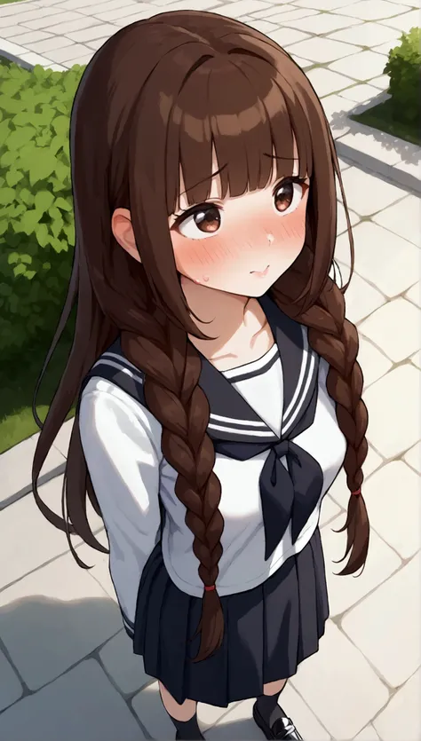 {Best Quality], [Very beautiful], [Ultra fine], [Best illustration],sauce_anime,stand,Brown Hair,hime cut,Long Hair,Braids,Excited face,Cutesy,High school girl,Black Sailor Suit,skirt,Beautiful breasts, black high socks , black loafers, slender, blushes,Wo...