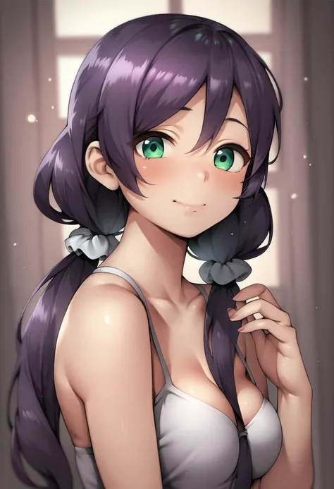 nozomi tojo, (green eyes:1.3), dark purple hair, twintails, low twintails, scrunchie, long hair,