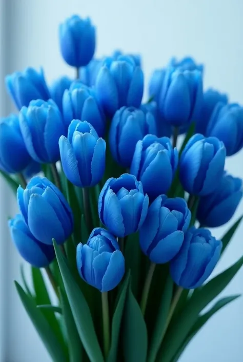 Blue tulip huge bouquet 