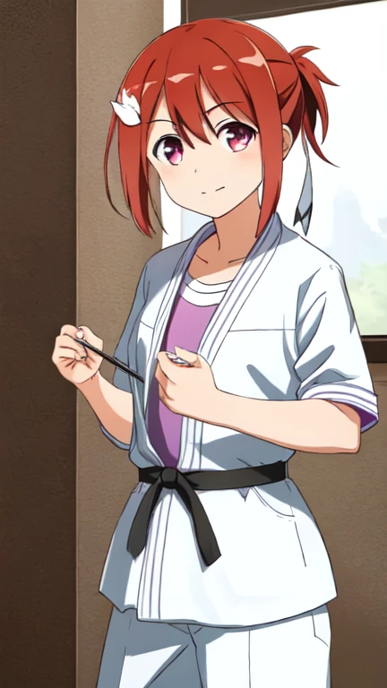 1 girl, solo, (Yuuki Yuna), Yuuki Yuna wa Yuusha de Aru, Yuusha de Aru, red hair, red eyes, short ponytail, hair ornament, ribbon, hair between eyes, side ponytail,
BREAK, white dougi, martial arts belt, pants,(open clothes:1.4),
BREAK, standing,
BREAK, (s...