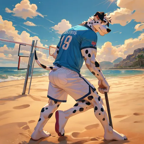 male, solo, en pie, perro, Dalmatian, muy musculoso, alto, wearing: White sport short pants, sin camisa. Background: in the beach, with another friends in back, without shirt, playing volleyball, just wearing, white sport short pants. Other furrys in the b...