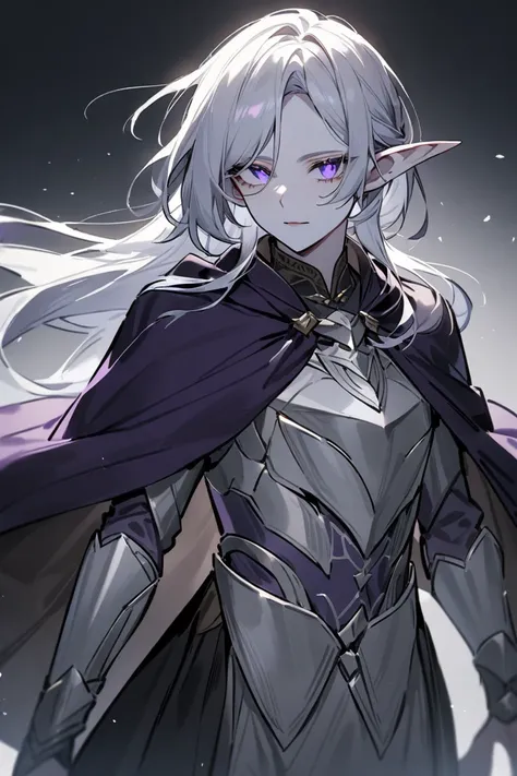 The elf girl. The archer. Twenty years old. Pale skin. Shoulder-length hair is silver in color. The eyes are purple in color. He wears light armor made of durable materials that does not restrict movement. A dark-colored cloak is draped over his shoulders.