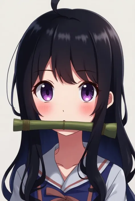 Anime girls with black hair and purple eyes are round in the style of Nezuko Chan from the Demon Slayer anime and put a piece of bamboo tied to her mouth