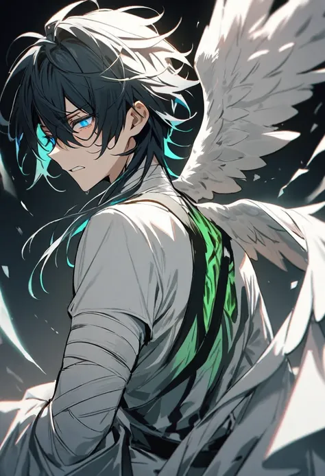 1 boy,  blue black hair with light blue highlights of his hair . His eyes were green,  he was dressed in white clothes and bandages that covered his body. Two white wings came out of his back .  The expression on his face was one of total sadism .