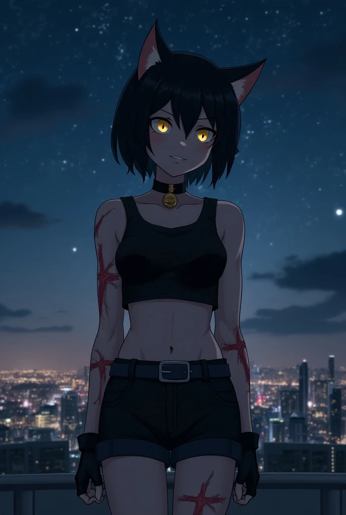 A catgirl, short black hair, yellow eyes, black choker with bell, black crop top, utility belt, with huge and painful cut wounds on her neck and arms, black fingerless gloves, black shorts, smiling mischievously and defiantly, on the roof of a very tall bu...