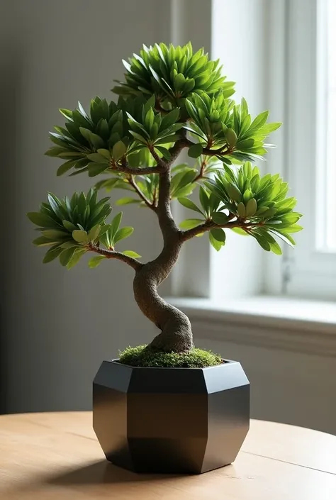 Generate a premium sleek design pot holding plant  bonsai that can easily placed inside house apartment etc . Make the pot hexagonal shape make the product look attractive and premium adding a perfect background. Its a concept product make it a perfect rea...