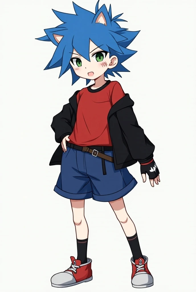  Anime boy , with hedgehog ears , blue hair,  green-eyed, three scratches on the cheeks, red shirt, Black sweatshirt, with sleeves, black belt, blue shorts,  black and white socks , red shoes, black and white gloves , without syrup