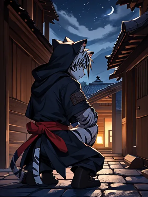  Kogenta, furry white tiger,Little boy, 身穿黑色Ninja服,Ninja, Wearing a hood，Masked, karate, in the dark of a medieval village house in the dark night,On the roof ,bend over, ,  crouching on one knee , , shadow, .Full body picture,