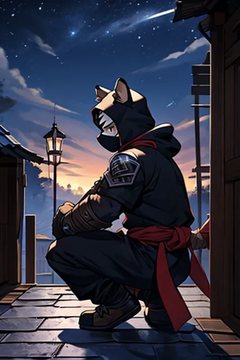  Kogenta, furry white tiger,Little boy,  wearing a black ninja costume ,Ninja Armor , Wearing a hood,PROTECTIVE MASK ,Masked, Hand Rope ,Midnight in a medieval village in the dark(landscape、On the roof:1.3),squatting on the roof,bend over, ,  crouching on ...