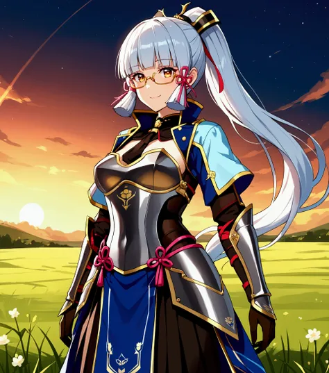 Ayaka, the Solemn Knight with a Ponytail, wearing Glasses and White Hair, is standing in the middle of a Field Background, adding a touch of Knight Armor(0.7) to her charm. She has a Medium Breast and an inviting Smile with her Hair Accessories