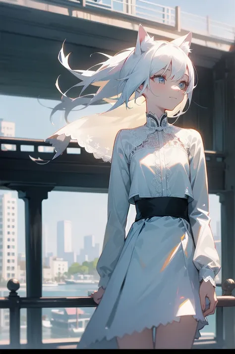 (Absurd), cute girl, upper body, slim body, perfect body, legs out of frame, cat ear, (albino), zoub jacket, lace dress, skirt, rooftop, cove, observation deck, port town, [strong wind], arrogant smile, tipsy, [looking away], Expressionless